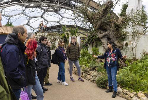A group of people enjoying one of our Private Explorer Tours in the Med Biome